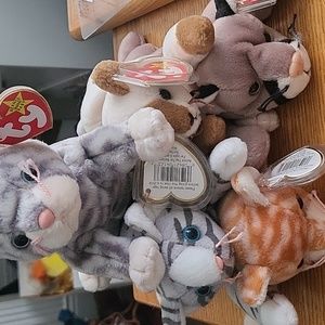 Ty Beanie Cats